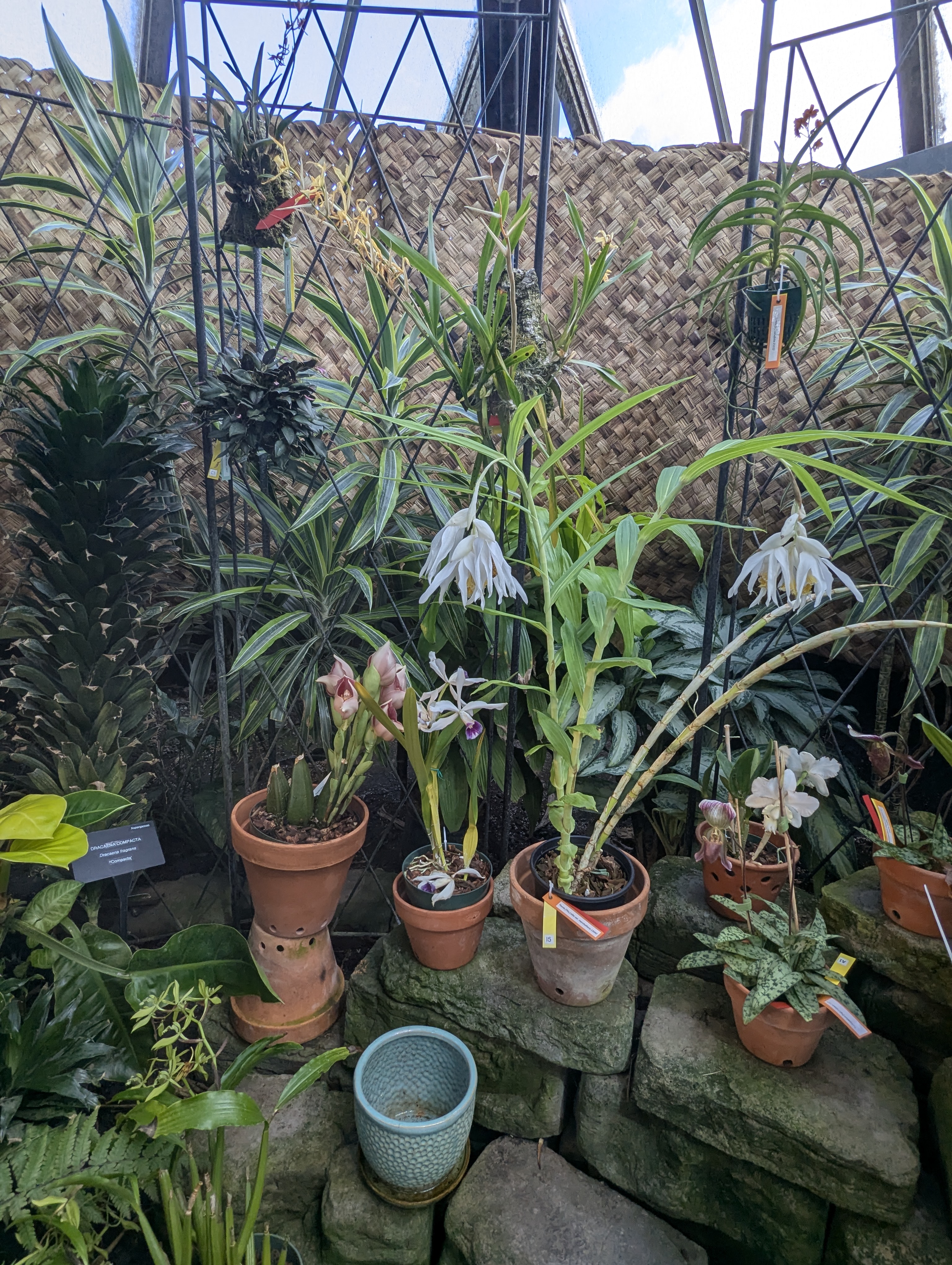 Birthday Trip to Canada, Edmonton, Pyramids, Muttart Observatory